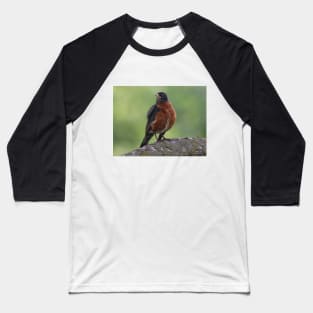 A Puffy Robin Baseball T-Shirt